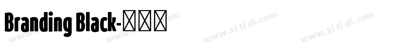 Branding Black字体转换